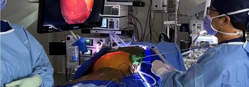Dr Tran performing laparoscopic surgery